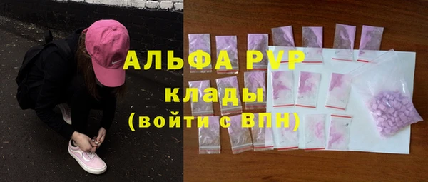 стаф Алексин