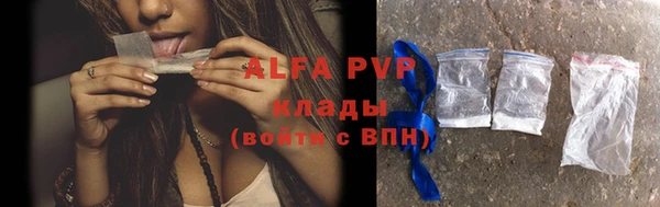 стаф Алексин