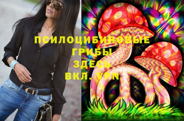 стаф Алексин