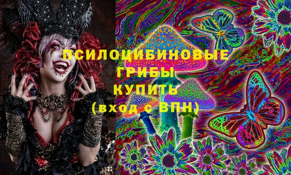 Альфа ПВП Алзамай