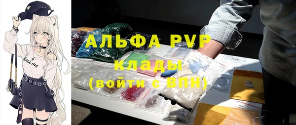 стаф Алексин