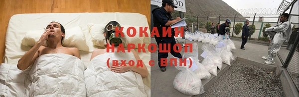 стаф Алексин