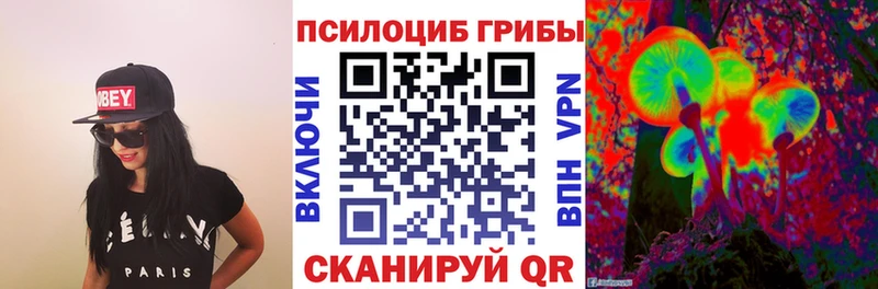Псилоцибиновые грибы GOLDEN TEACHER  продажа наркотиков  Тейково 